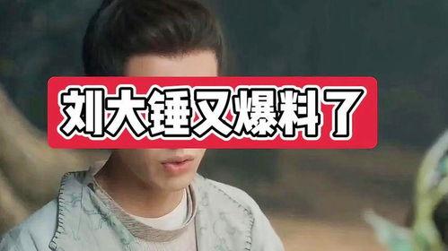 刘大锤最新爆料一览图片,揭秘娱乐圈幕后真相  第2张